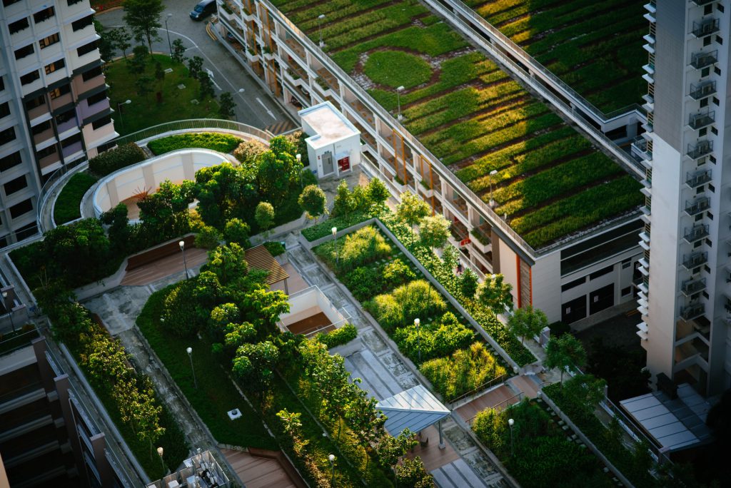건물의 지붕을 초원으로 만들어 토양 흡수를 촉진하고 습지를 형성합니다